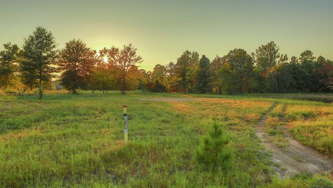 LOT-10-MAJESTIC-OAKS - 156 Majestic Oaks, Home with 0 bedrooms, 0 bathrooms and null parking in De Berry TX | Image 4