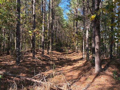 155 Hillbrook Dr, Hohenwald, TN, 38462 | Card Image