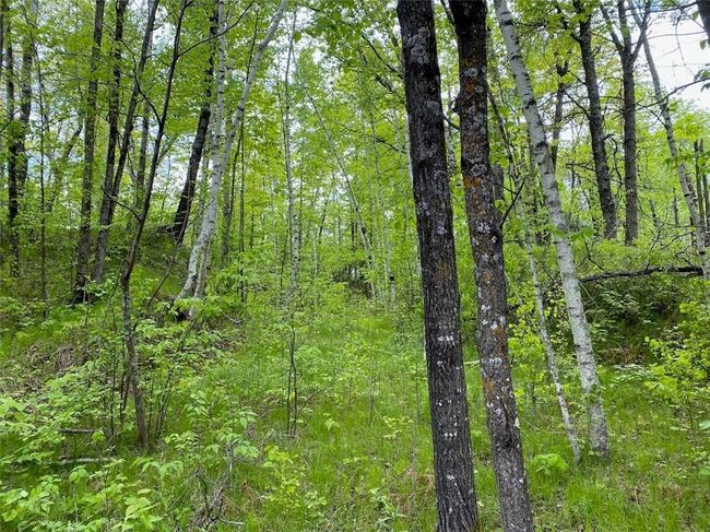 0 Hustvet Dr, Home with 0 bedrooms, 0 bathrooms and null parking in Trego WI | Image 8