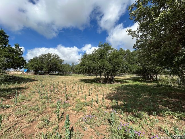 1619 Stringtown Rd, Home with 0 bedrooms, 0 bathrooms and null parking in Medina TX | Image 16