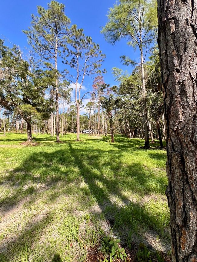 0 Ne Webb Ln, Home with 0 bedrooms, 0 bathrooms and null parking in Steinhatchee FL | Image 7