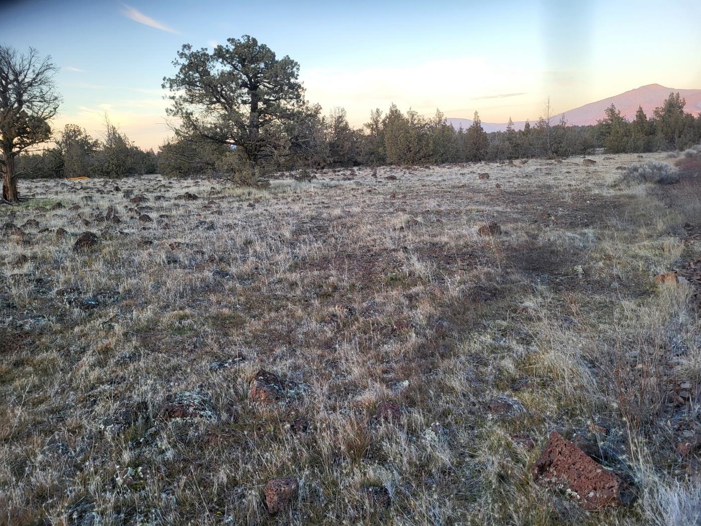 Land in Montague 4