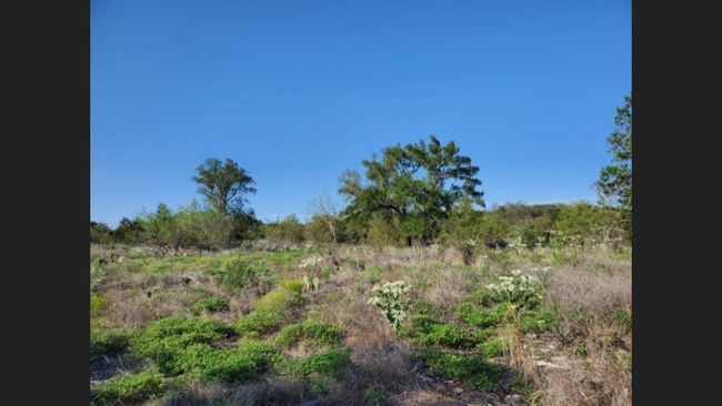 Oak trees on lot | Image 4