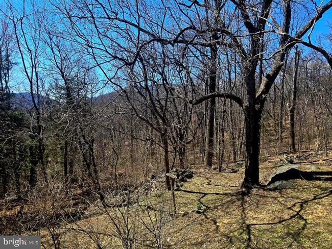 68 Chimney Hollow Rd, House other with 2 bedrooms, 2 bathrooms and null parking in SYRIA VA | Image 23