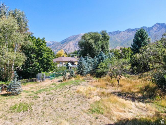 Mountain view | Image 14