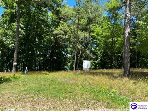 354 Marina Point Lane, Falls Of Rough, KY, 40119 | Card Image