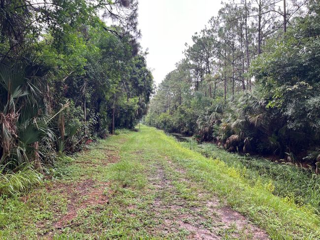 Tbd 175 Th Rd N, Home with 0 bedrooms, 0 bathrooms and null parking in Jupiter FL | Image 5