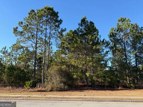 0 Weeping Willow Dr, Hinesville, GA, 31313 | Card Image