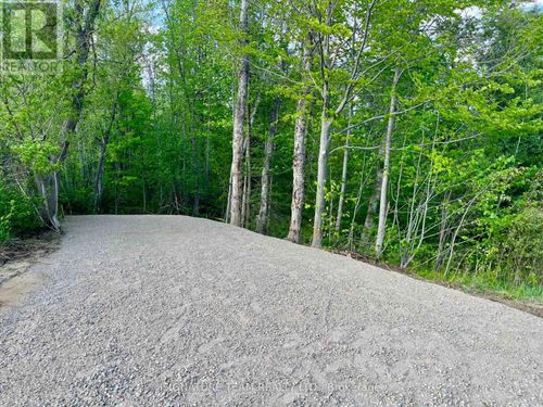 Pt Lt 9 Foymount Road, Bonnechere Valley, ON, K0J1M0 | Card Image