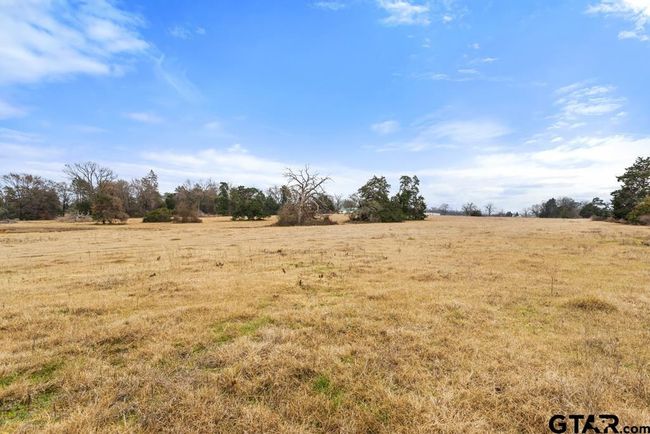 15037 State Highway 110, Home with 0 bedrooms, 0 bathrooms and null parking in Van TX | Image 35