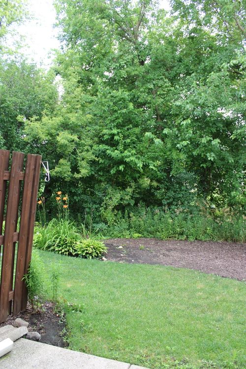 unit-b-281 Nicole Dr, South Elgin, IL, 60177-3601 | Card Image