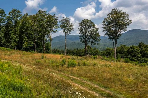 lot-2-500 Nims Road, Dorset, VT, 05251 | Card Image