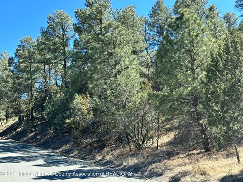 110 Antler Dr, Alto, NM, 88312-8032 | Card Image