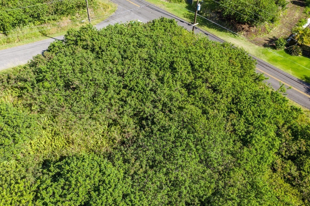Land in Naalehu 4