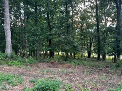 Lot 6 Stonehenge Way Way, Home with 0 bedrooms, 0 bathrooms and null parking in Dandridge TN | Image 3