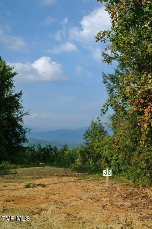 1008 Locust Ln, Butler, TN, 37640-5921 | Card Image