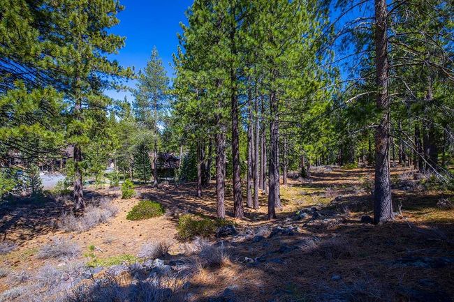 524 Lars Haugen, Home with 0 bedrooms, 0 bathrooms and null parking in Truckee CA | Image 8