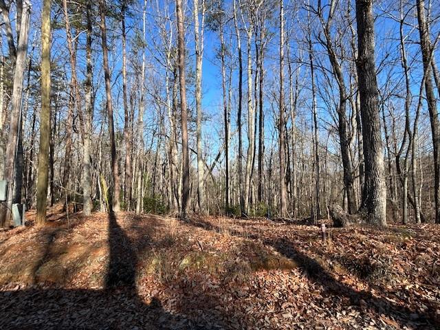 Land in Dawsonville 5