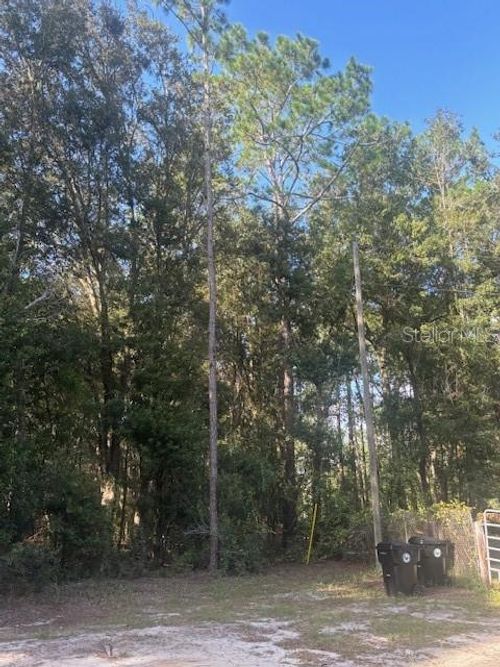 000 Stardust Ln, Melrose, FL, 32666 | Card Image