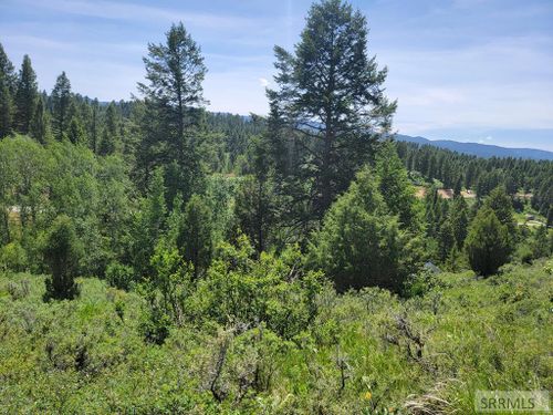 L58B4 Cutthroat Run, Irwin, ID, 83428 | Card Image