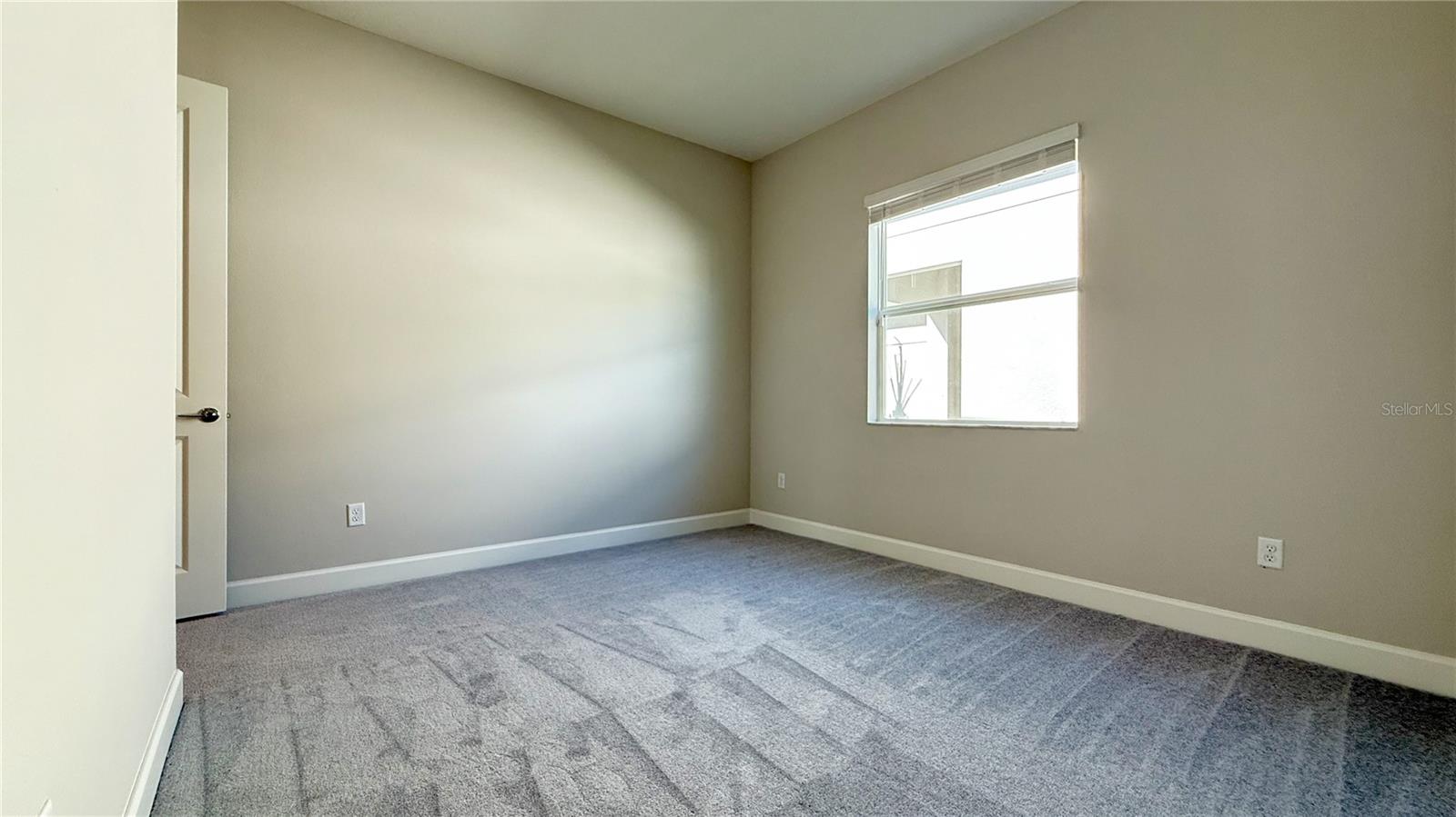 Residential in WESLEY CHAPEL 5