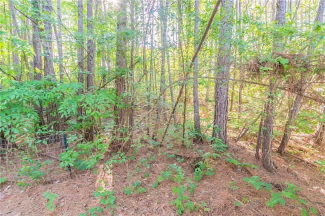 3856 Vine Stone Dr, House other with 3 bedrooms, 2 bathrooms and null parking in Lithonia GA | Image 30