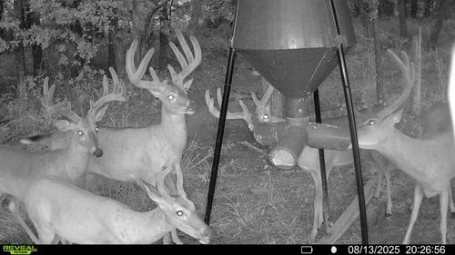 track-a-165008 N 3010 Rd, Foster, OK, 73434 | Card Image