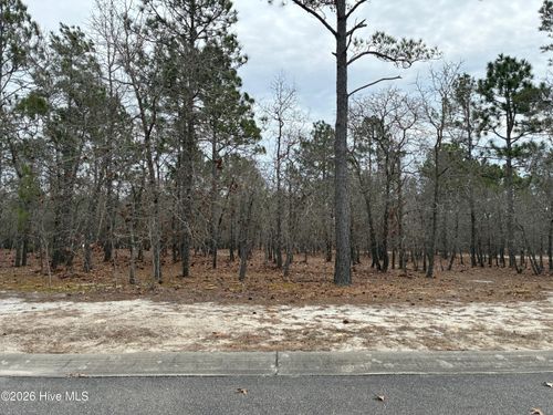 448 Isabella Street Se, Bolivia, NC, 28422 | Card Image