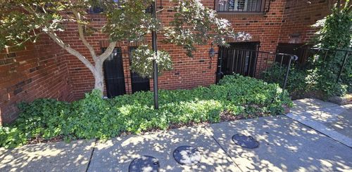 502 Brummel Ct Nw, WASHINGTON, DC, 20012-1847 | Card Image
