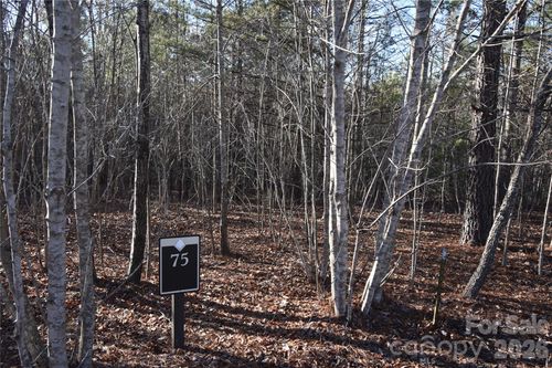 Lot 75 Tayberry Dr, Nebo, NC, 28761-7400 | Card Image