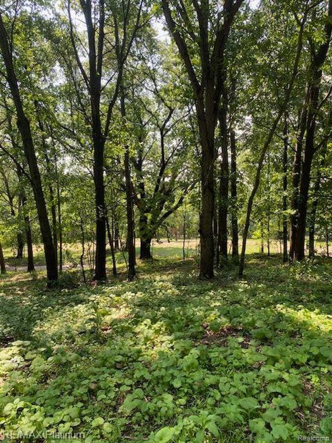 6 Sleaford Parcel 6   2.1 Acres Road, Home with 0 bedrooms, 0 bathrooms and null parking in Howell Township MI | Image 17