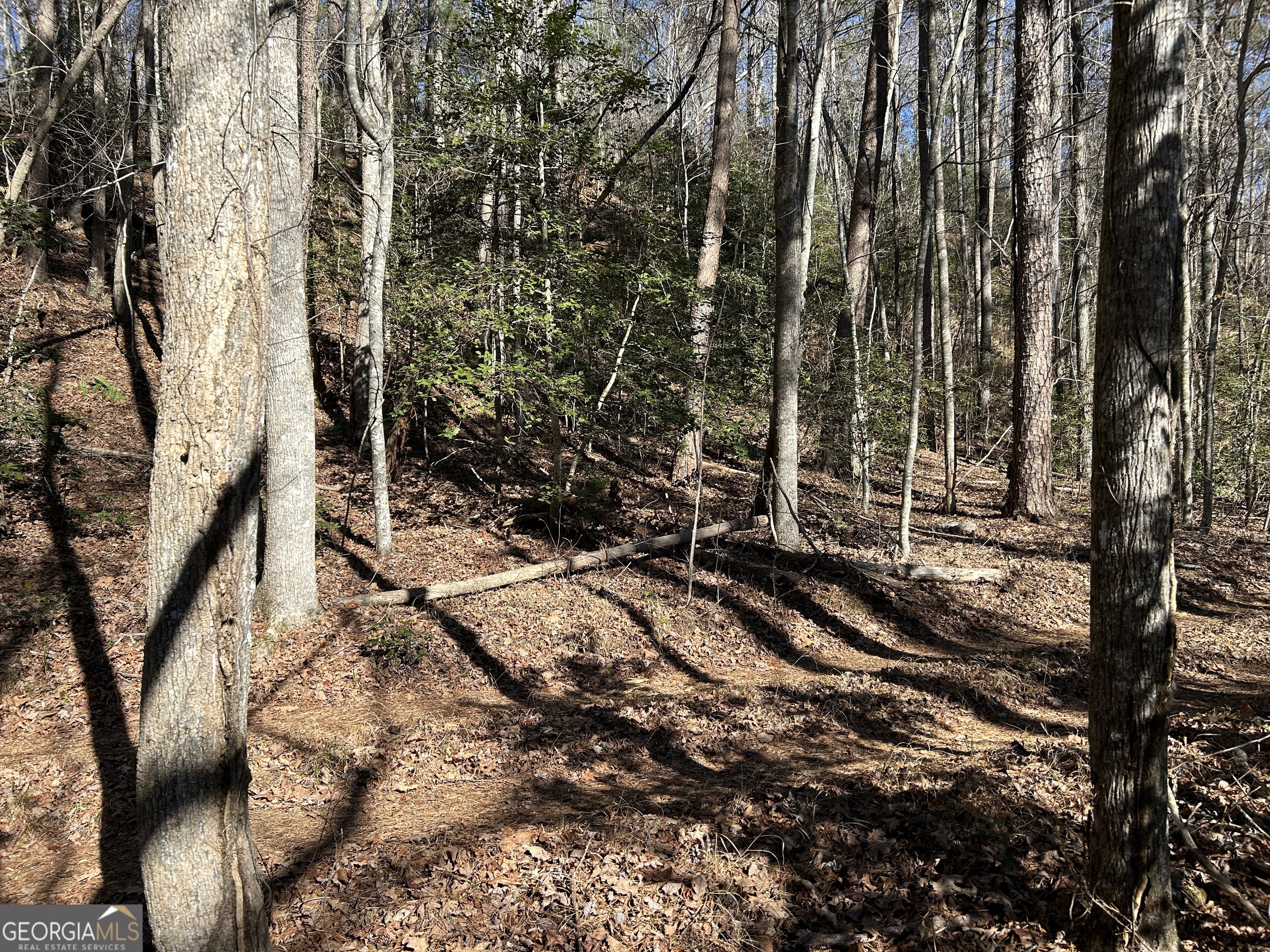 Land in Demorest 5
