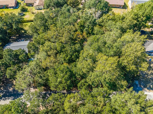 DJI_0395-HDR | Image 15