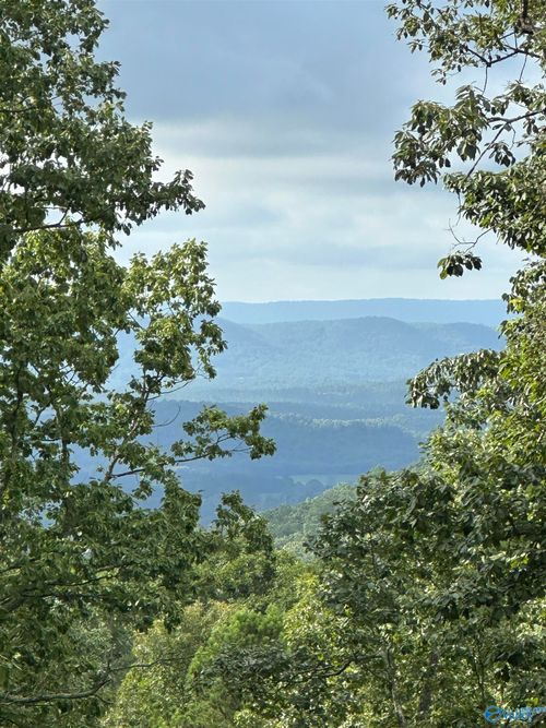 195 County Road 844, Mentone, AL, 35984-6139 | Card Image