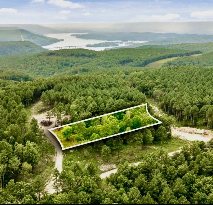 Land in Guild