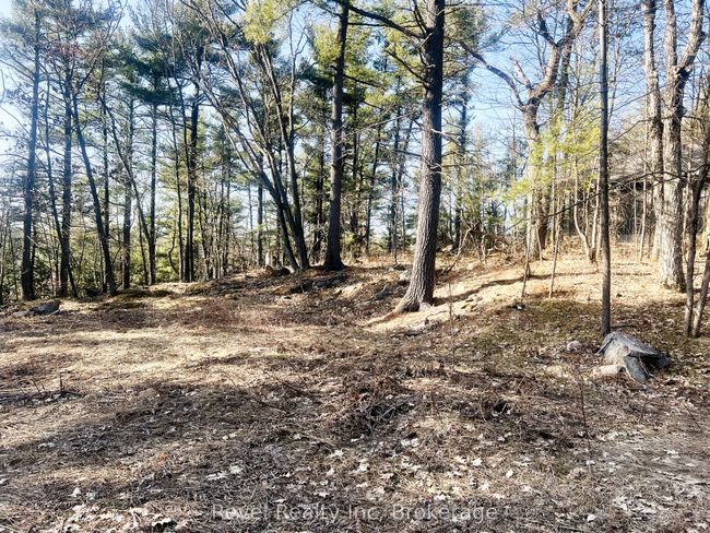 88 Louisa St, Home with 0 bedrooms, 0 bathrooms and null parking in Parry Sound ON | Image 7