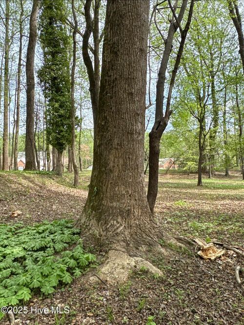 20-212 Tree Shade Dr, Washington, NC, 27889-9793 | Card Image
