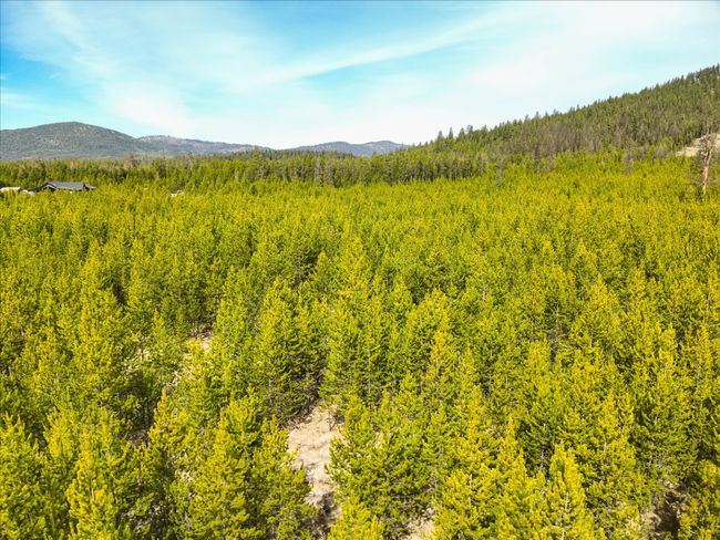 135 Wright Way, Home with 0 bedrooms, 0 bathrooms and null parking in Marion MT | Image 25