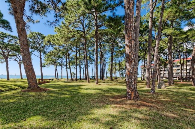 APT-1206 - 2700 Bayshore Blvd, Condo with 2 bedrooms, 1 bathrooms and null parking in DUNEDIN FL | Image 11