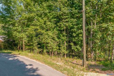 0.70 acres S Berkley Hills Drive S, Home with 0 bedrooms, 0 bathrooms and null parking in Southside AL | Image 2