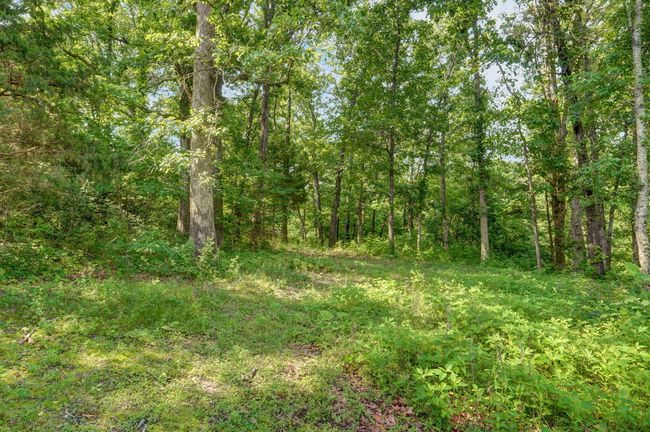 136 Cedar Dale Ln-6 | Image 7