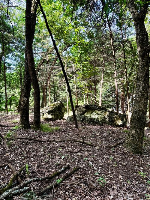 Lot 39 Pine Drive, Garfield, AR, 72732 | Card Image