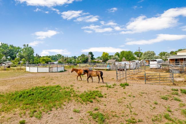 View of pasture - Horses do not convey in sale | Image 30