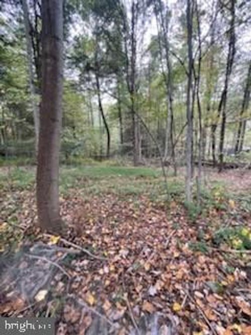 Lot 5 Clouser Hollow Rd, NEW BLOOMFIELD, PA, 17068-8603 | Card Image