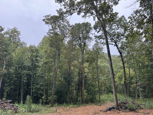 453 Gravely Hill Rd, Bethpage, TN, 37022 | Card Image