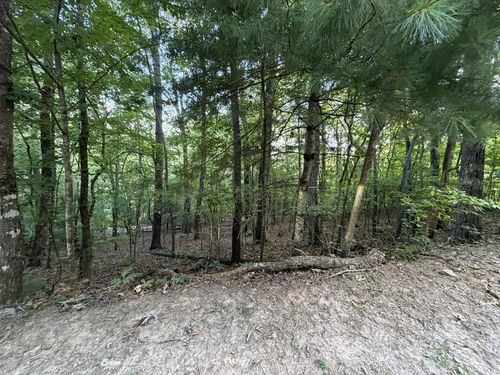 Lot 46 Fox Run Dr, Blue Ridge, GA, 30513-7323 | Card Image