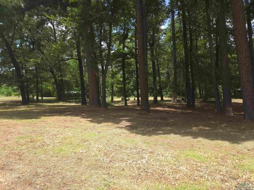 208 Mountain View Dr, Daingerfield, TX, 75638-1424 | Card Image