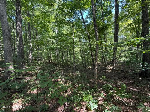 2 E Cove Rd, Monterey, TN, 38574 | Card Image