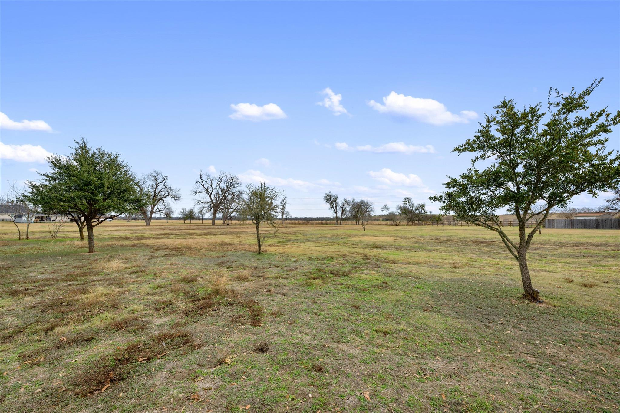 Land in Hutto 3