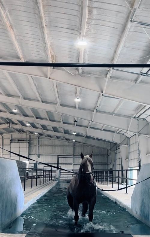 6670 Fm 2303, Stephenville, TX, 76401-7248 | Card Image